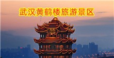 野外尿尿特写