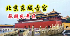 密臀操逼视频中国北京-东城古宫旅游风景区